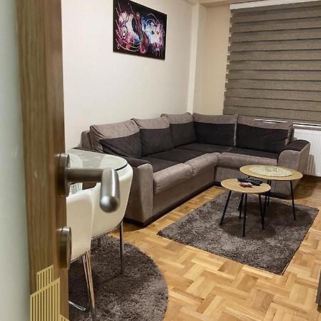 Mirkovic Lux Apartman Ni Exterior foto
